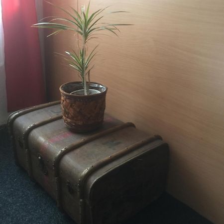 Hotel Dvorak Chrast Екстериор снимка