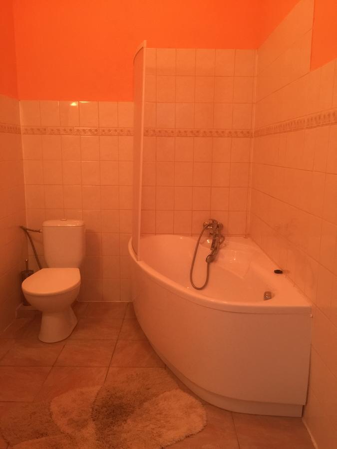 Hotel Dvorak Chrast Екстериор снимка
