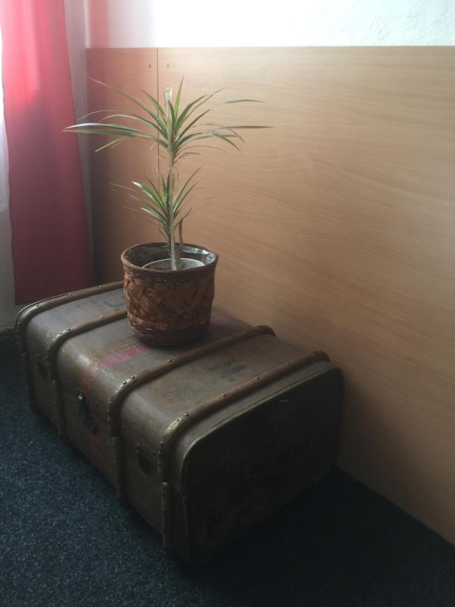 Hotel Dvorak Chrast Екстериор снимка