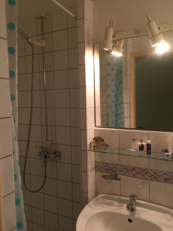 Hotel Dvorak Chrast Екстериор снимка